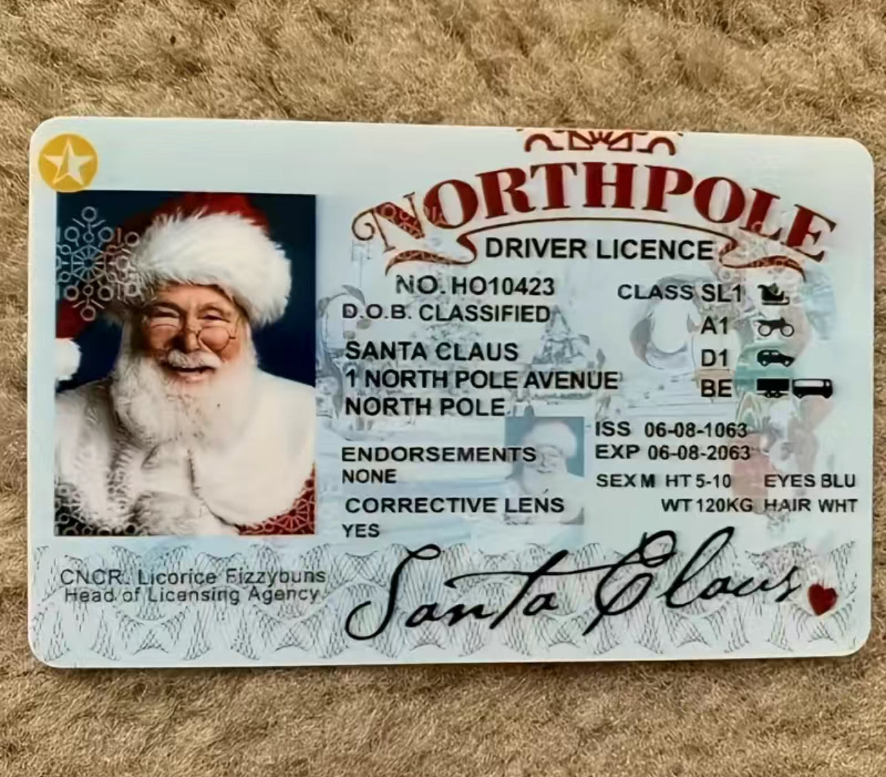 Santa Driver Licence
