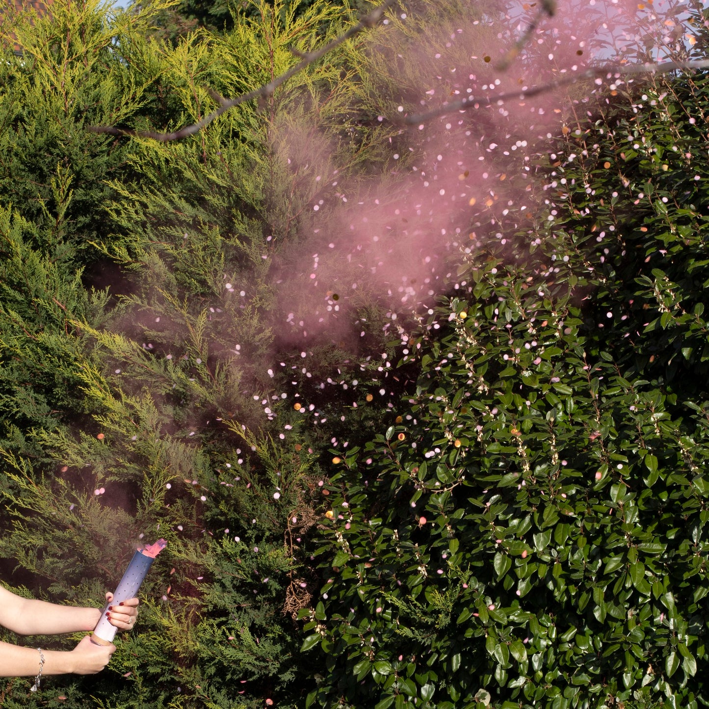 Gender Reveal Smoke Cannon